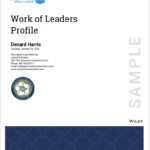 Everything DiSC Work of Leaders Report Cover